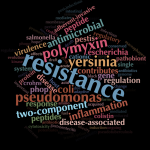 McPhee lab word cloud